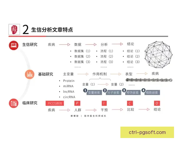 从赛程结构到对阵逻辑全面解析欧协联赛事安排实战指南思路与策略